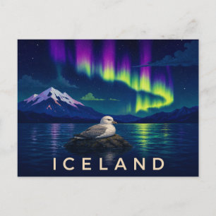 Carte Postale Fulmar sous l'aurore   Islande iconique