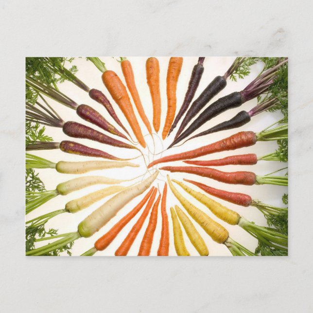 Carte Postale Fun Colorful Carrots (Devant)
