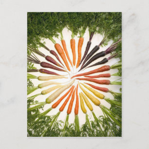Carte Postale Fun Colorful Carrots