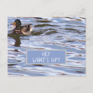 Carte postale Fun Duck