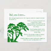 Carte Postale Fun Facts About the Rainforest Postcard (Devant / Derrière)