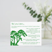 Carte Postale Fun Facts About the Rainforest Postcard (Debout devant)