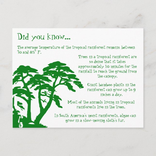 Carte Postale Fun Facts About the Rainforest Postcard (Devant)