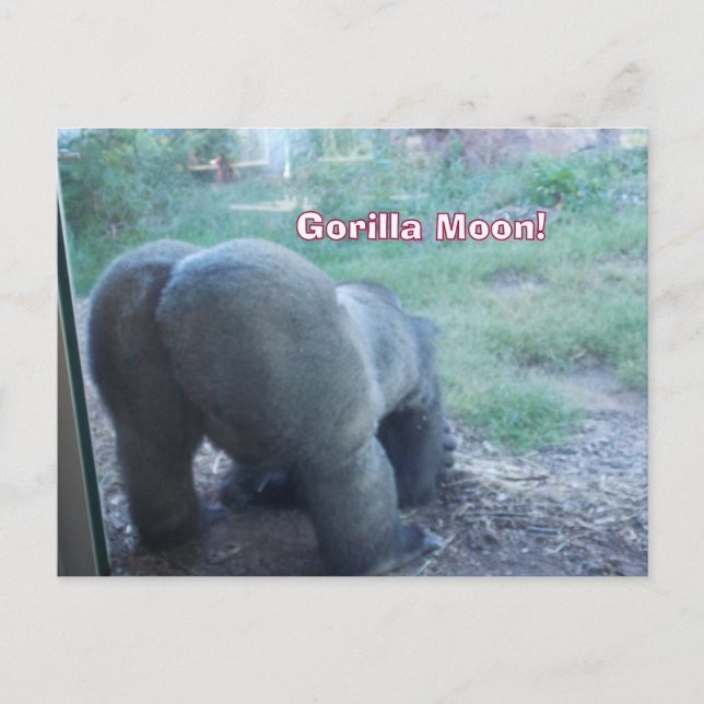 Carte postale Fun Gorilla Moon (Devant)