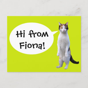 Carte Postale Fun message personnalisé de chat debout
