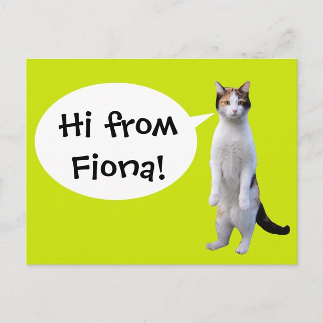 Carte Postale Fun message personnalisé de chat debout (Devant)