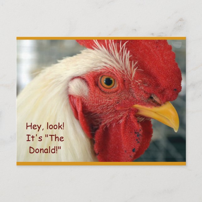 Carte Postale Fun Rooster "Hey, Look! C'est le Don (Devant)