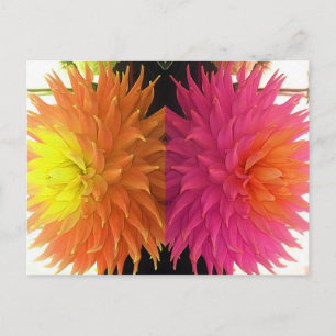 Carte Postale Funky Bright Orange & Rose Spike Flowers