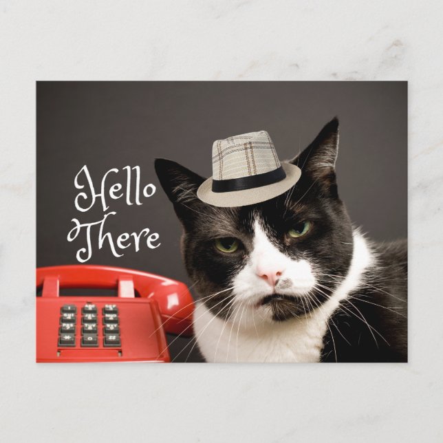 Carte Postale Funky Hello There Angry Black & White Cat (Devant)