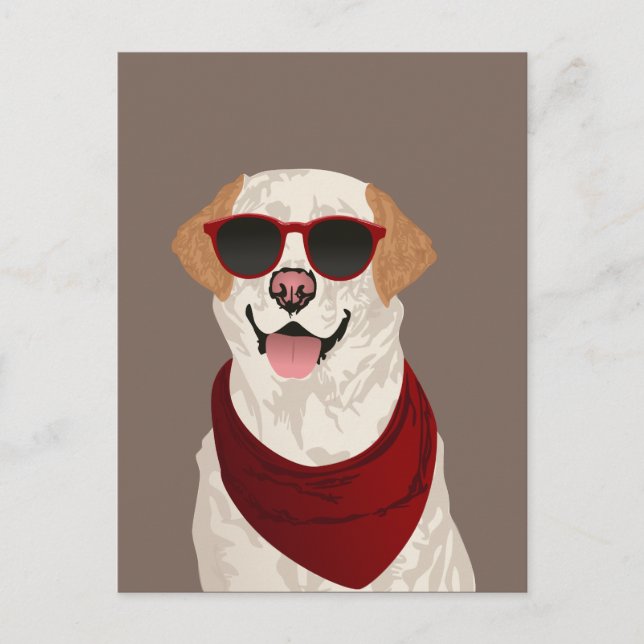 Carte Postale Funky Labrador Retriever pour Amoureux de les chie (Devant)