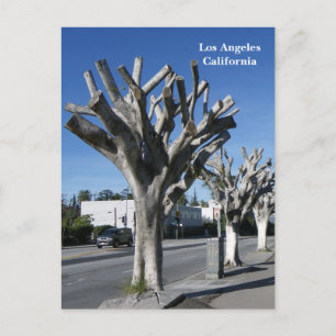 Carte Postale Funky Tree Los Angeles Postcard!