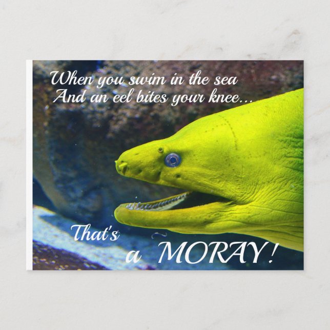Carte Postale Funny Amore (un Moray) Valentine (Devant)