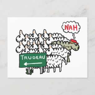 Carte Postale Funny Anti Trudeau