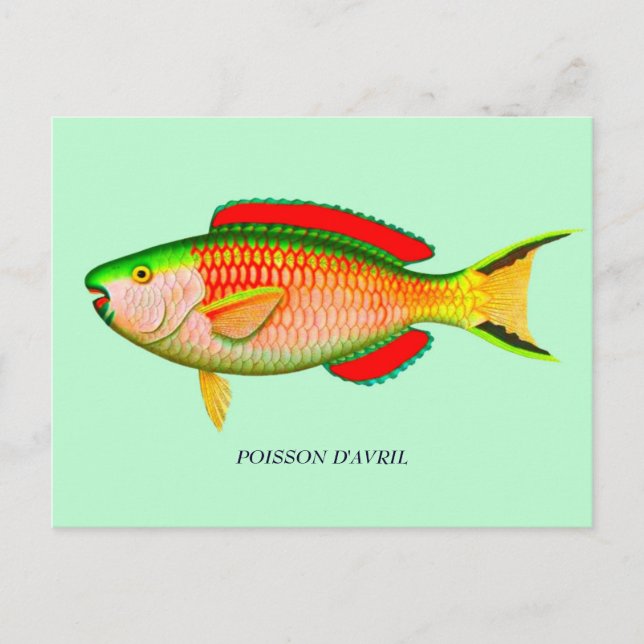 Carte Postale Funny April Fools Day Postcard - lire retour de la (Devant)