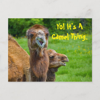 Carte Postale Funny Camel Animal