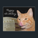 Carte Postale Funny cat Birthday<br><div class="desc">Orange chat tabby lèche ses côtelettes à un gâteau d'anniversaire photo carte postale</div>
