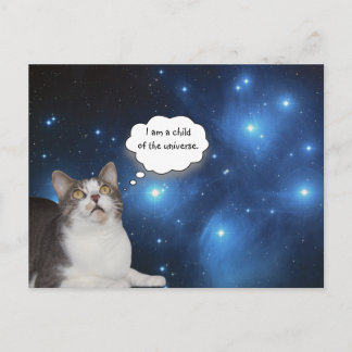 Carte Postale Funny Cat Star Gazer