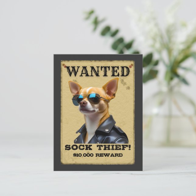 Carte Postale Funny Chihuahua WANTED Poster with Cool Sunglasses (Debout devant)