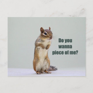 Carte Postale Funny Chipmunk Photo