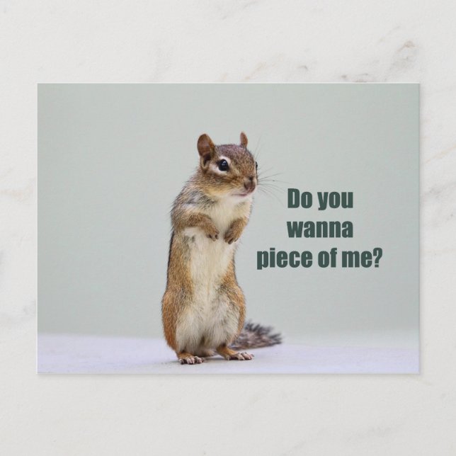Carte Postale Funny Chipmunk Photo (Devant)