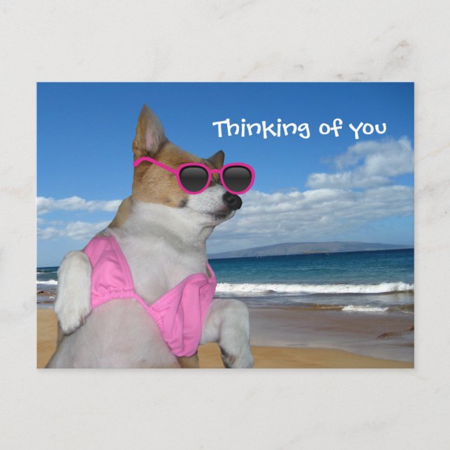 Carte Postale Funny Corgi Bikini (Devant)