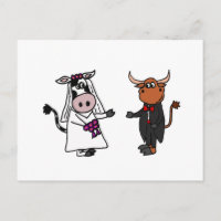 Funny Cow and Bull Mariage