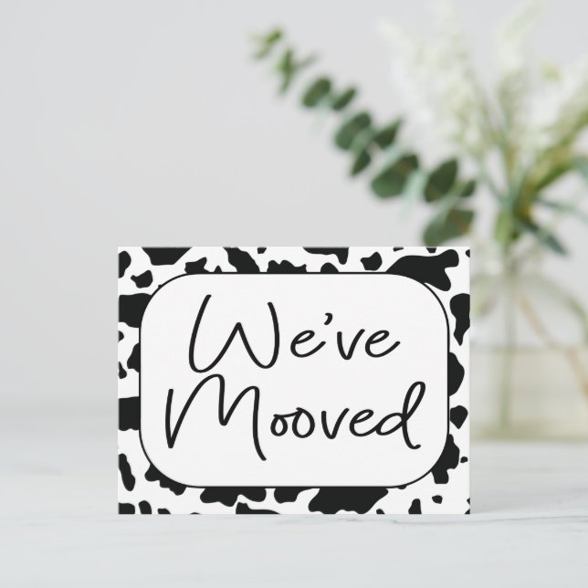 Carte Postale Funny Cow Nouvelle adresse de résidence Nous avons (Debout devant)