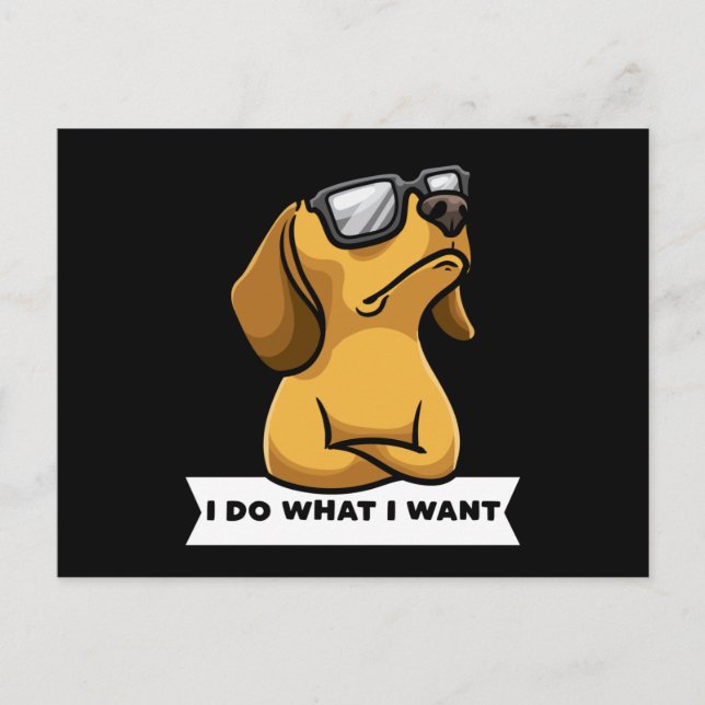Carte Postale Funny Dachhund chien drôle Idée cadeau (Devant)