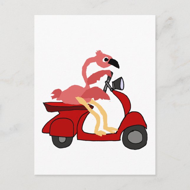 Carte Postale Funny Flamant rose rose équitation Moteur Scooter (Devant)