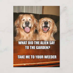 Carte Postale Funny Golden Retriever Alien Joke Mème