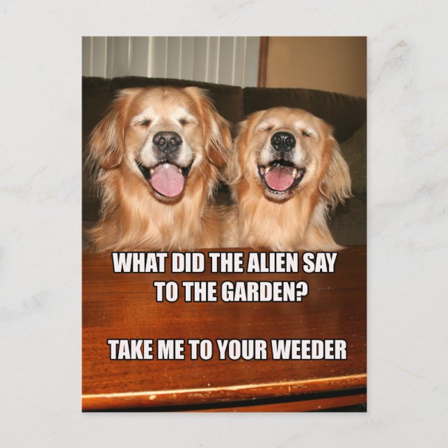 Carte Postale Funny Golden Retriever Alien Joke Mème (Devant)