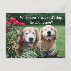Carte Postale Funny Golden Retriever Barium Scientifique Plaisan