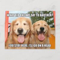 Funny Golden Retriever Casquette Joke Mème