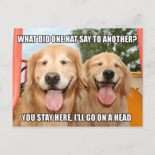 Carte Postale Funny Golden Retriever Casquette Joke Mème