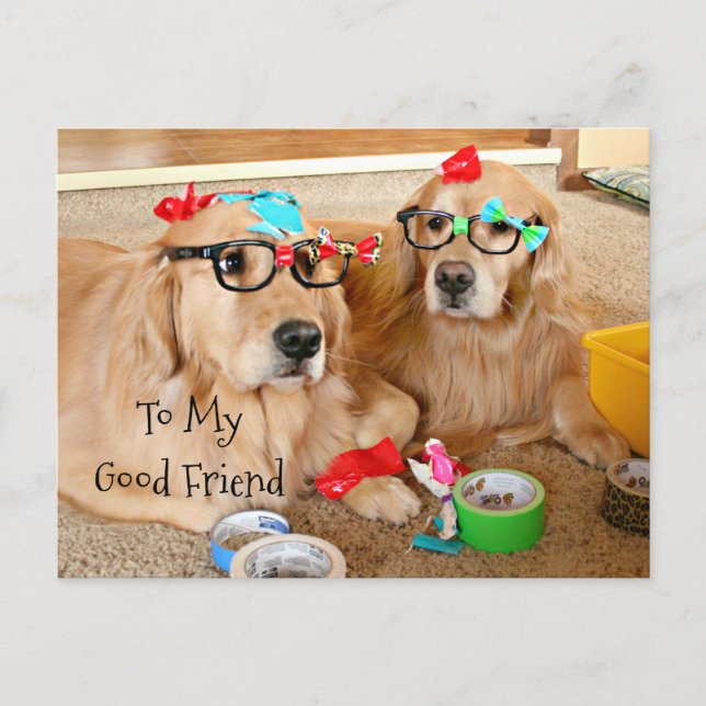Carte Postale Funny Golden Retriever Friendship Card (Devant)