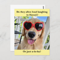 Funny Golden Retriever Hawaii Joke Meme