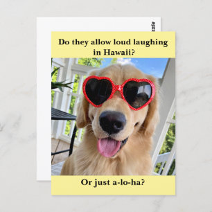 Carte Postale Funny Golden Retriever Hawaii Joke Meme