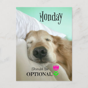Carte Postale Funny Golden Retriever Monday devrait être faculta