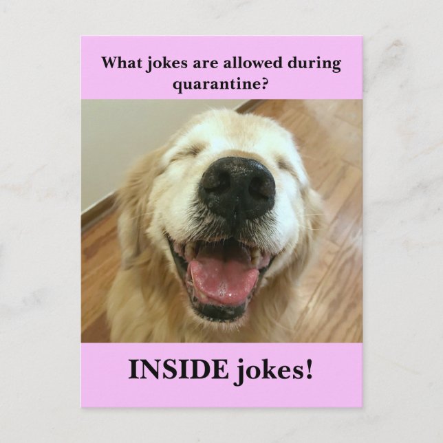 Carte Postale Funny Golden Retriever Quarantine Joke Mème (Devant)