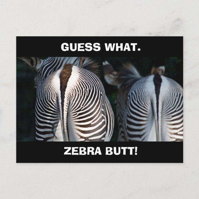 Carte Postale Funny Guess What Zebra Butt Wildlife (Devant)