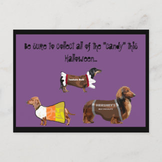 Carte Postale Funny Halloween Recueillir des bonbons Chiens