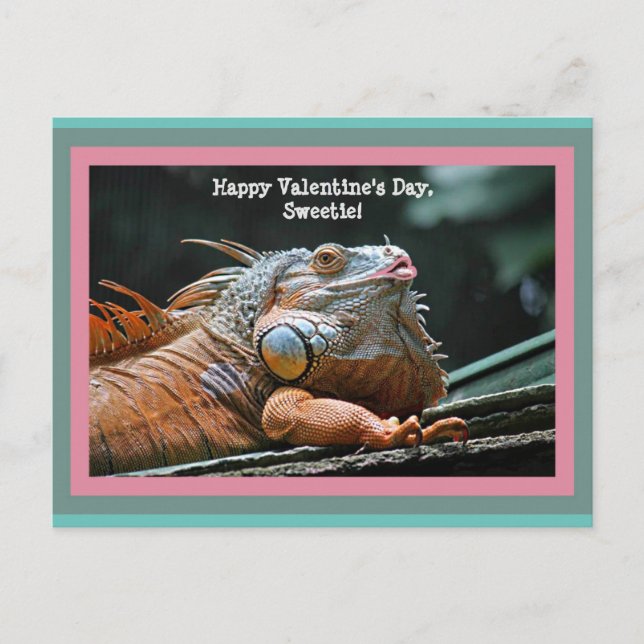 Carte Postale Funny Iguana Valentine (Devant)