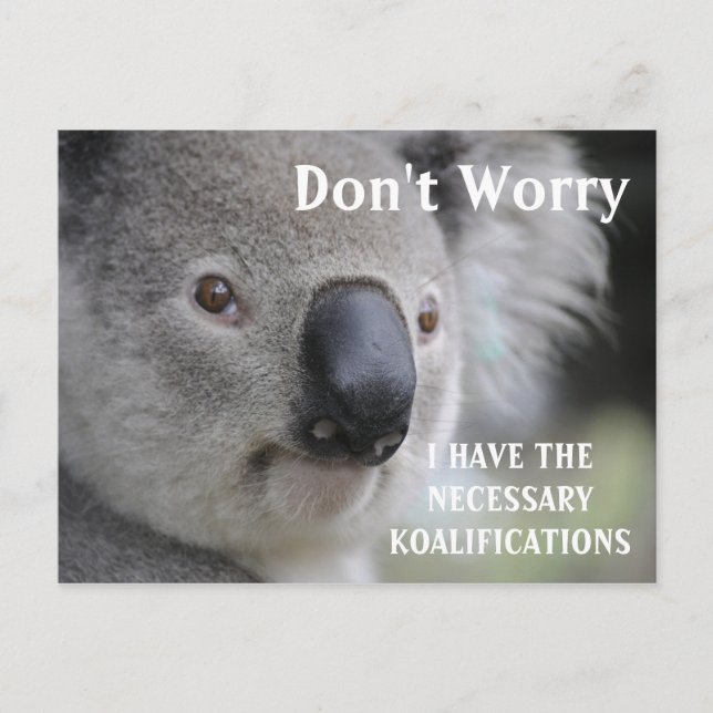 Carte Postale Funny Koala koalifications mème (Devant)