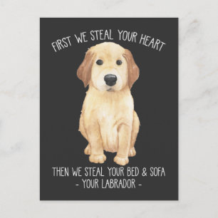 Carte Postale Funny Labrador Retriever Amoureux des chiens Stubb