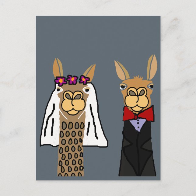 Carte Postale Funny Llama Mariée et Mariage de chambre (Devant)