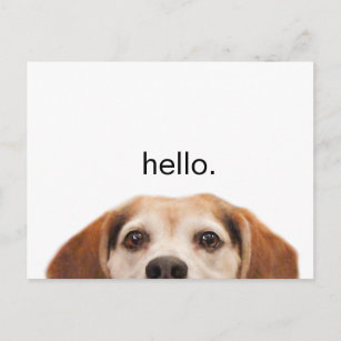Carte Postale Funny mignon chien Beagle Hello Modern
