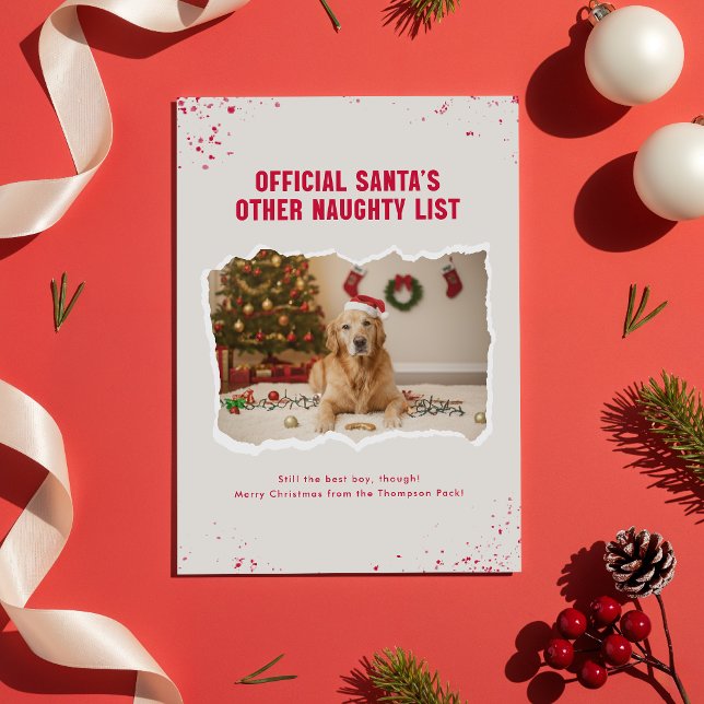 Carte Postale Funny Pet Dog Photo Christmas Holiday Postcard (Créateur téléchargé)