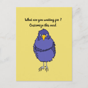 Carte Postale Funny postcard with not so happy bird