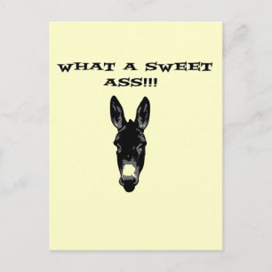 Carte Postale Funny Retro Donkey SweetAss
