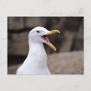 Carte Postale FUNNY Seagull